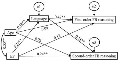 The roles of language and executive function in Mandarin-speaking children’s theory of mind development